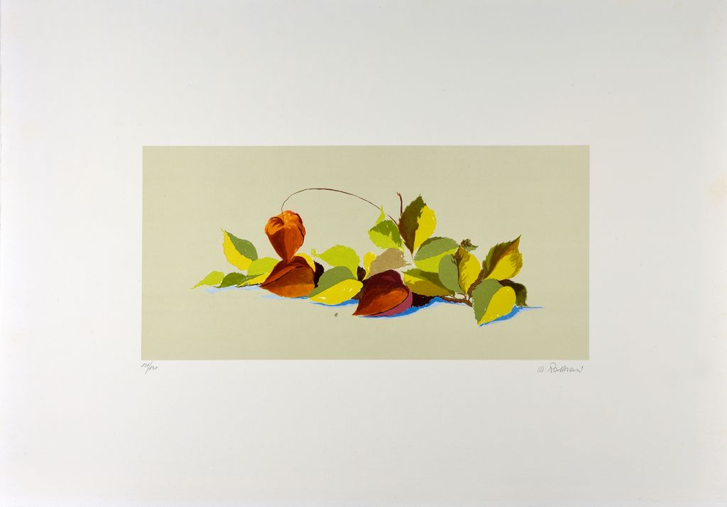 romani-maurizio-litografia