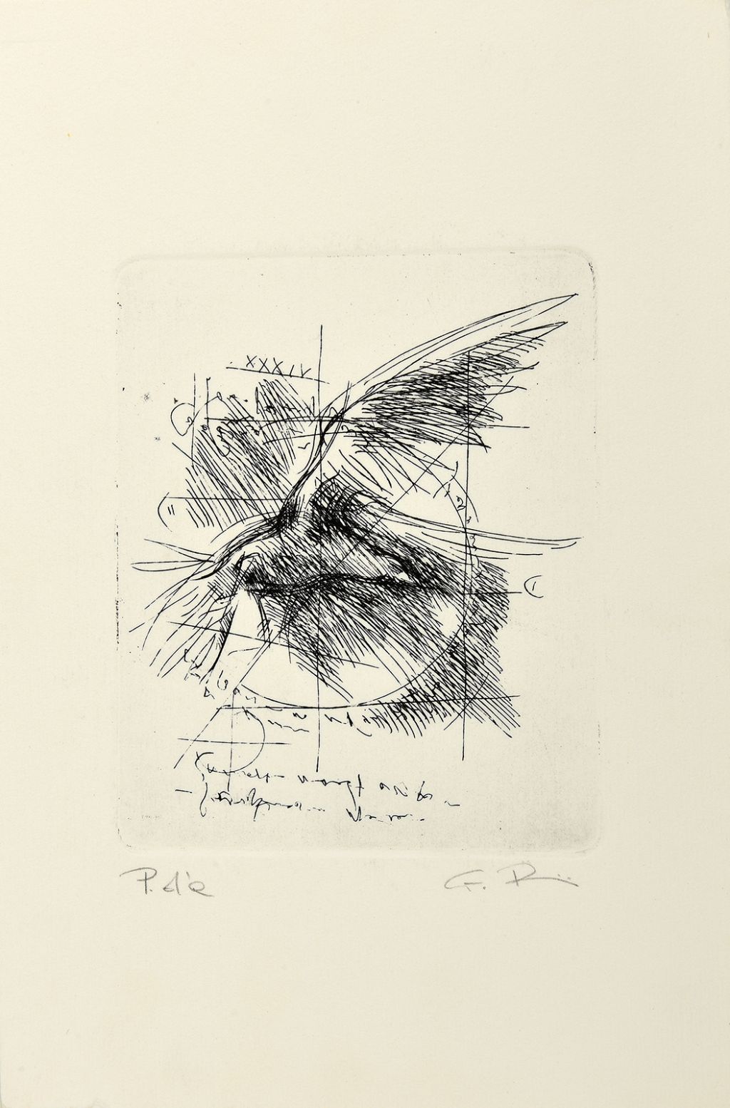 ricci-marco-acquaforte