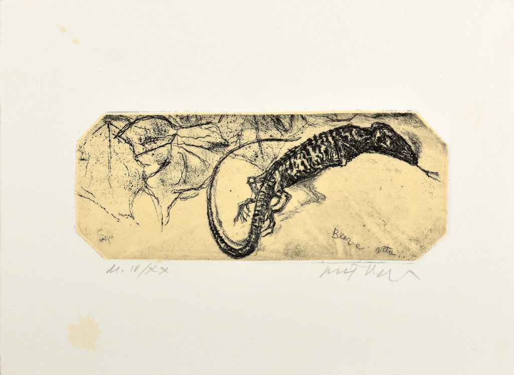 ricci-marco-acquaforte