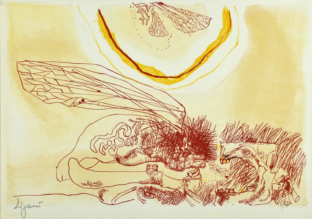 zigaina-giuseppe-litografia