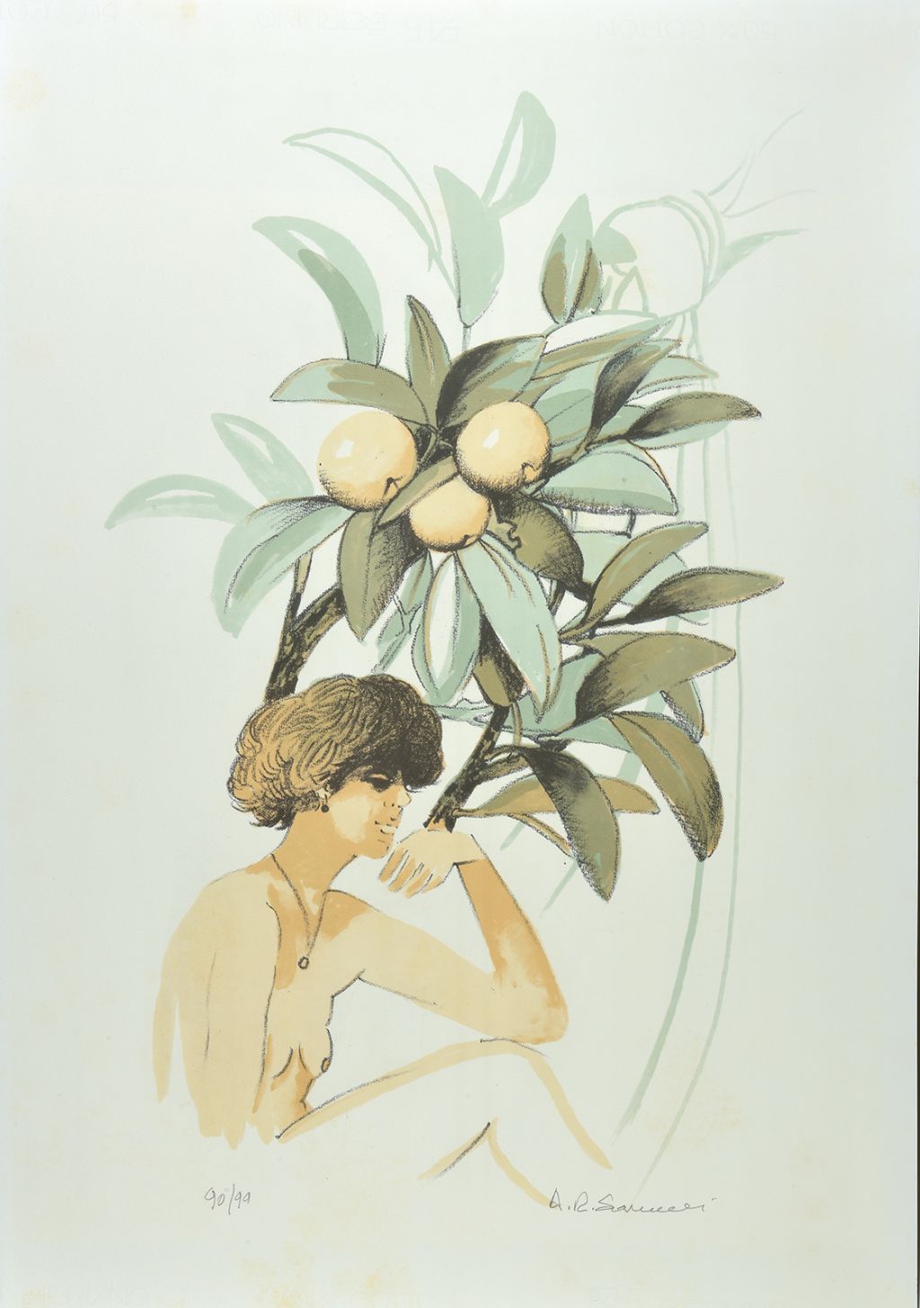 sarnelli-antonio-litografia