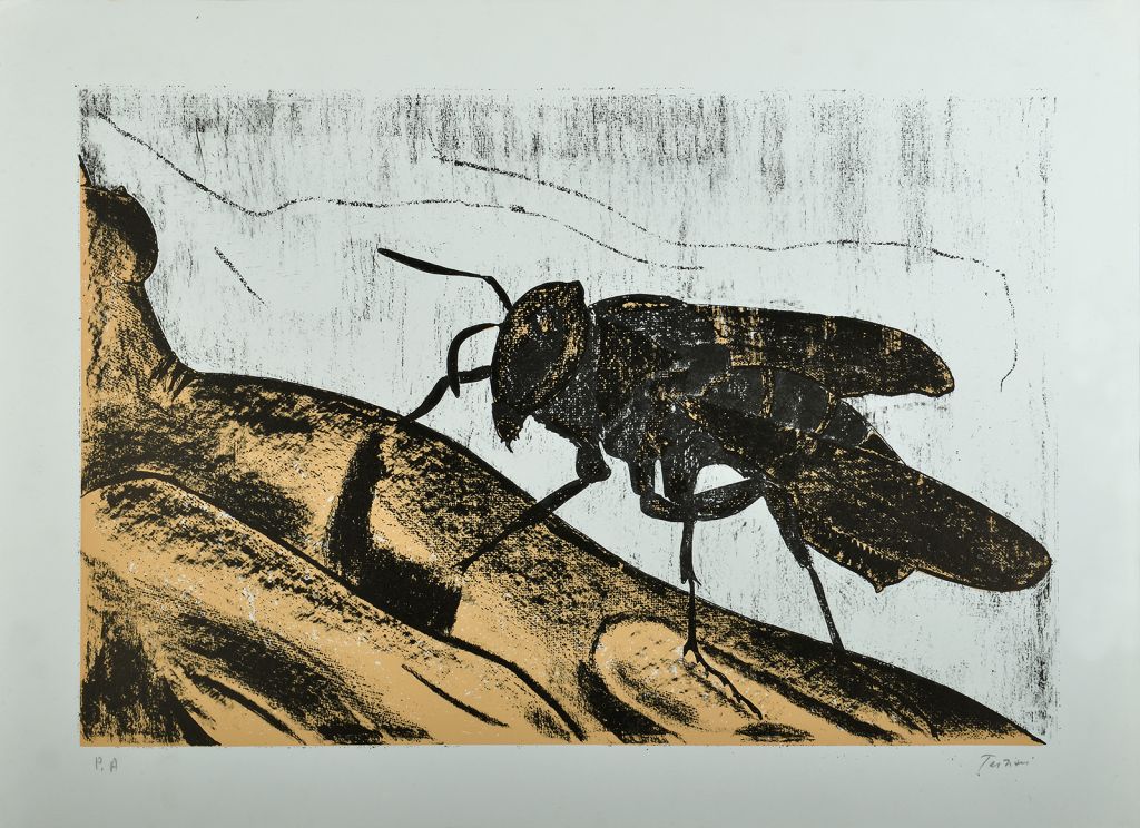 terziani-riccardo-litografia