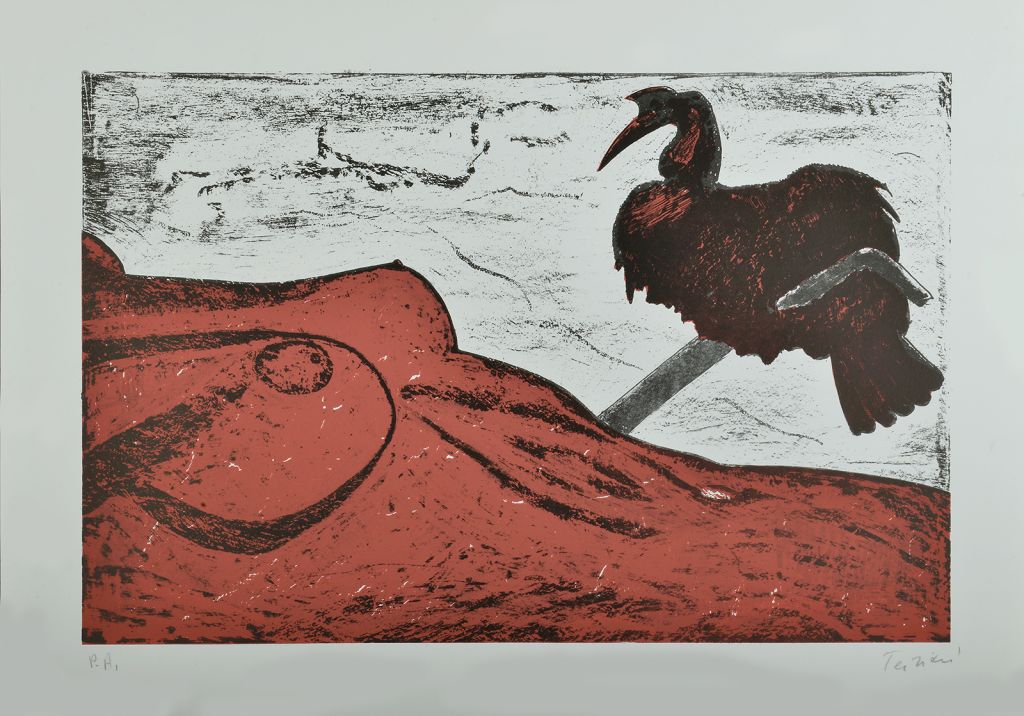 terziani-riccardo-litografia