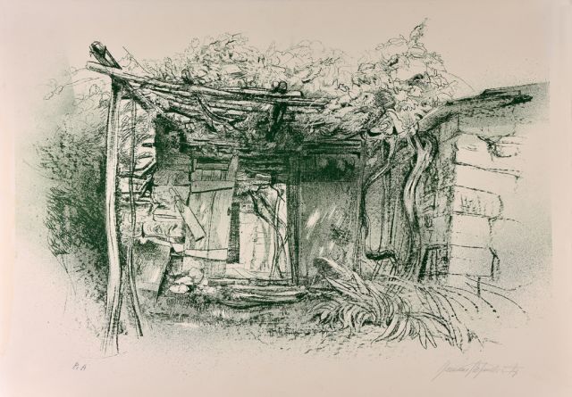 stefanelli-romano-litografia