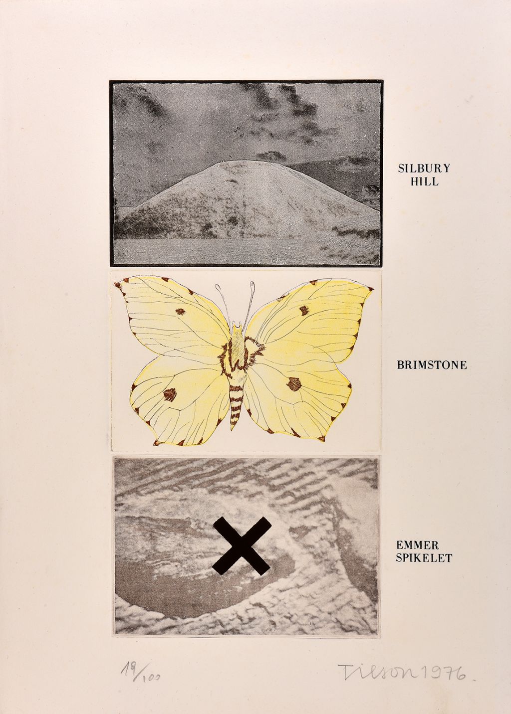 tilson-joe-acquaforte